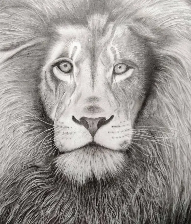 Minha era no desenho realista